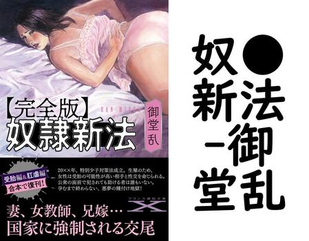 奴●新法【御堂乱】（フランス書院文庫X）