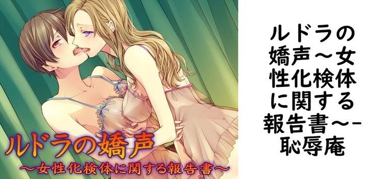 ルドラの嬌声〜女性化検体に関する報告書〜【恥辱庵】（オリジナル同人）