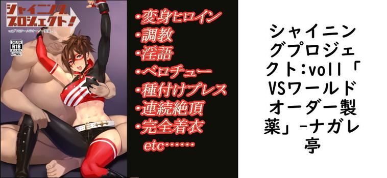 シャイニングプロジェクト:vol1「VSワールドオーダー製薬」【ナガレ亭】（オリジナル同人）