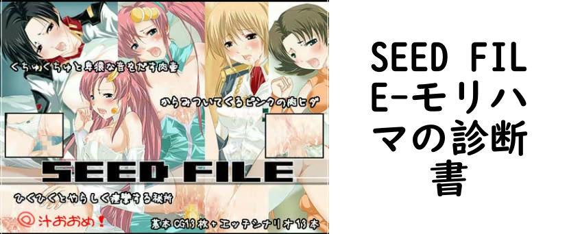 SEED FILE【モリハマの診断書】（漫画 / アニメ同人）